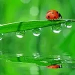 3 Day Candle Spell For Reconciliation Spell