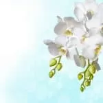 Instant Money Spells That Work In Saudi Arabia