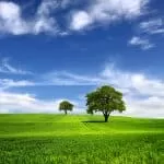 Love Spells in Singapore