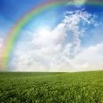 Social Media Effective Voodoo Love Spells