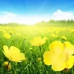 Powerful Voodoo Love Spells Cast New York