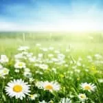 Powerful Voodoo Love Spells That Really Work