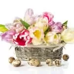 Online Effective Voodoo Love Spells