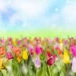 Free Reconciliation Spell