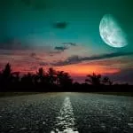 Traditional Healer Zim