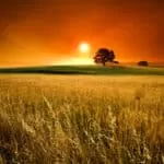 Hana aloha | Love Magic in hawaii | Black magic spells love | Love spell 