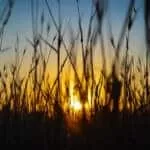 Isiwasho | Isiwasho Milk | Isiwasho Semali | Isiwasho Samandiya | Isiwasho Samandiya | Vulakuvaliwe Isiwasho | Isiwasho Sokuthandeka | Isiwasho Sesichitho | Isiwasho Senhlanhla