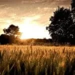 Isiwasho Semali | Isiwasho | Isiwasho Milk | Isiwasho Samandiya | Isiwasho Samandiya | Vulakuvaliwe Isiwasho | Isiwasho Sokuthandeka | Isiwasho Sesichitho | Isiwasho Senhlanhla