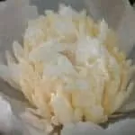 Gamblers Good Luck Charms For Winning