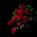 Skittles Love Potion