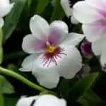 Spell To Remove Negativity From A Relationship