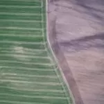 All life spells | Wizard101 all life spells | Wizard life all spells | Wizard101 life spells