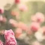 Love spells chants | Love me spell chant | Casting love spells yourself