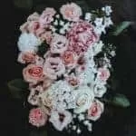 Mamlambo snake for money | Mamlambo | Mamlambo snake | Ukuthwala