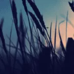 Online Quick Effective White Magic Love Spells