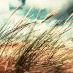 Quick Magic Love Spells Work