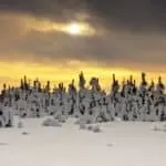 Quick Love Spells | Quick Love Spells That Work | Simple Love Spells | Free Quick Love Spells