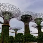 Does The Red Apple Love Spell Work?