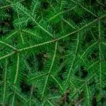 Keep Someone Away Rid Unwanted Person Spells