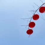 Spells To Make Someone Obsessed With You