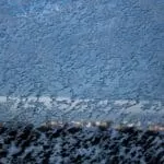 Spells to make someone think of you | How to make someone think of you spells