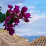 How to make spells | Oblivion how to make spells | How to make a book of spells | How to make spells in minecraft