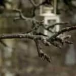 Powerful Love Potion To Stimulate Connection Between Lovers