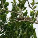 Love Spell To Attract A Lover Very Fast