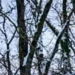 Career And Job Spells