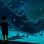 Discover Job Today Using Successful Job Spells