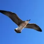 Get Employed Using Power Job Spells