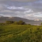 Job Spells Not 9 To 5