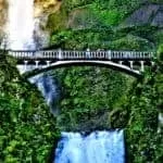 Free Jobs Spells Caster Online