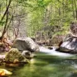 Working Job Spells You Need