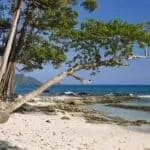 Spell To Make You Or Friend A Wizard Spell