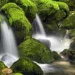 AUTHENTIC LOVE SPELLS REVIEWS