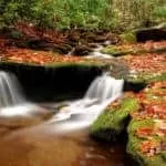 ASHRA KOEHN FREE LOVE SPELLS