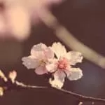 Spell To Make Him Forgive Me | Spells to get someone to forgive you