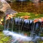 Pregnancy Spells After Tubal Ligation