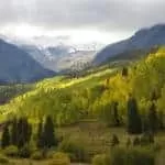 Powerful Business Spells Dubai