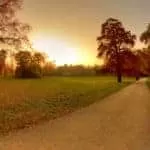 Marriage Love Spells That Work In Dubai