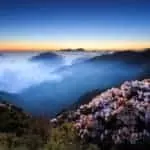 Beauty Spells Cast Effective Free Beauty Spell Spells Of Magic