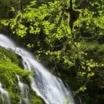 Powerful Beauty Spells Really Work