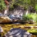 HONEY BATH LOVE SPELL