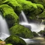 HONEY JAR LOVE SPELL RESULTS