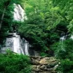 HONEY JAR SPELL FOR SELF LOVE