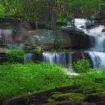 Full moon spells for money