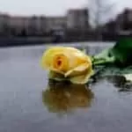 Wiccan Book of Spells