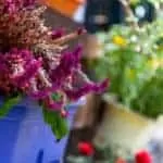 LOVE SPELLS FOR SALE