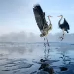 Spells To Fall Out Of Love